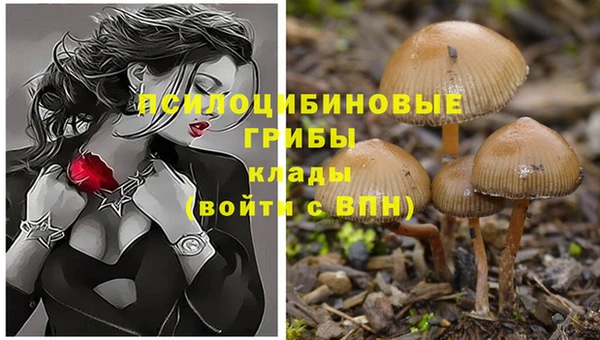 ПСИЛОЦИБИНОВЫЕ ГРИБЫ Алексеевка