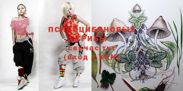 марихуана Абаза