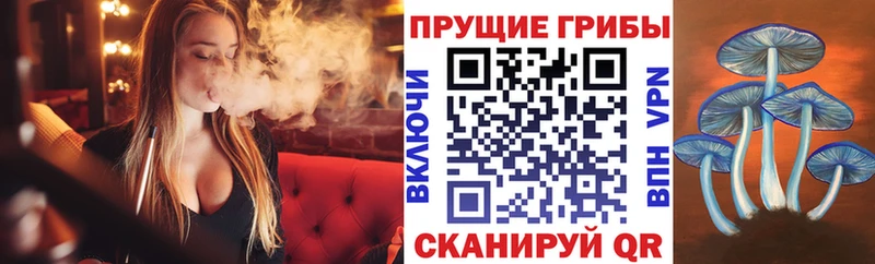 shop наркотические препараты  Ступино  Псилоцибиновые грибы Magic Shrooms 