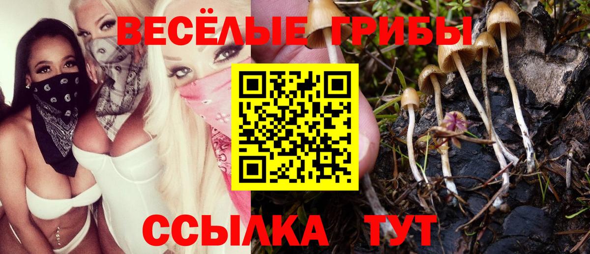 Галлюциногенные грибы MAGIC MUSHROOMS Ступино