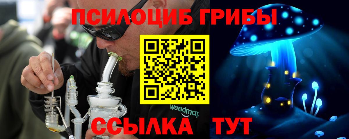 Ступино  Галлюциногенные грибы Psilocybine cubensis  Вход с VPN 