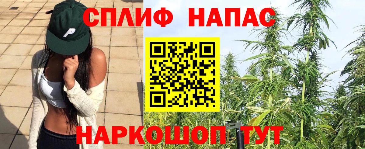 Каннабис Bruce Banner Ступино
